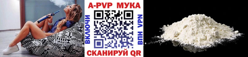 цена   Сясьстрой  A PVP крисы CK 