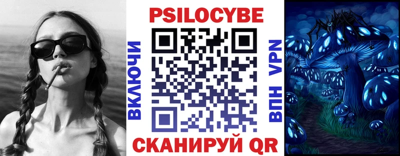 Псилоцибиновые грибы Psilocybine cubensis мега как зайти Сясьстрой